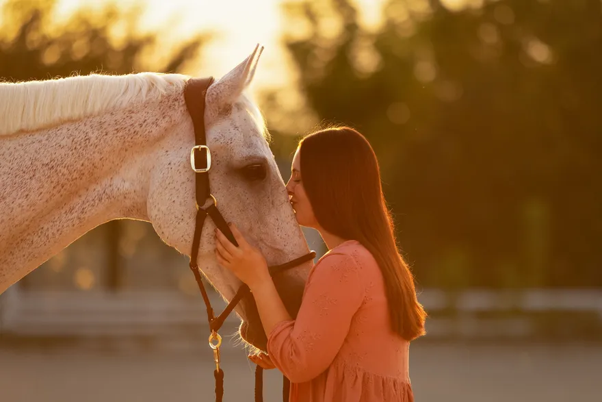 Cari – Stute