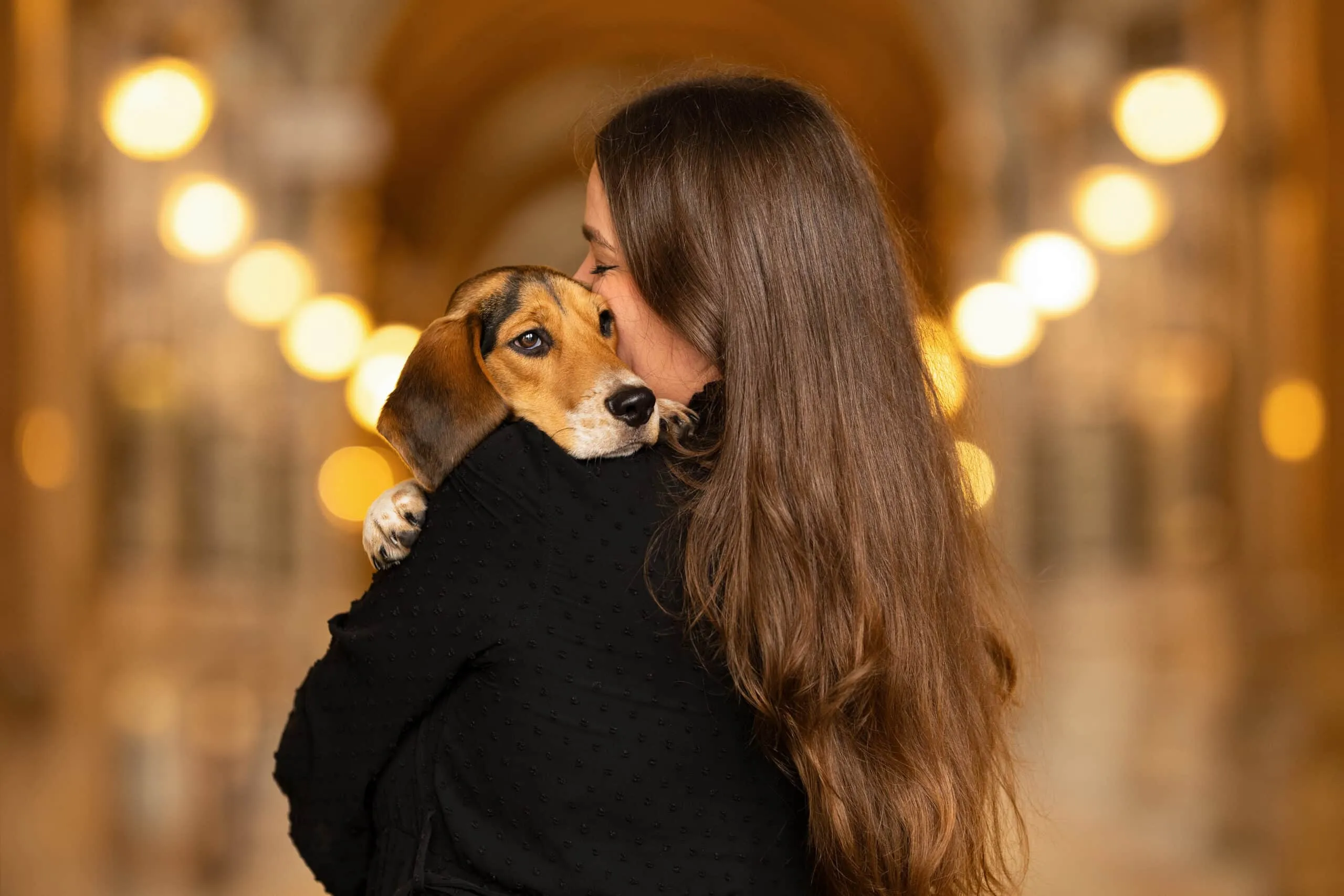 Junge Frau küsst ihren Beagle-Welpen vor goldenem Bokeh-Hintergrund