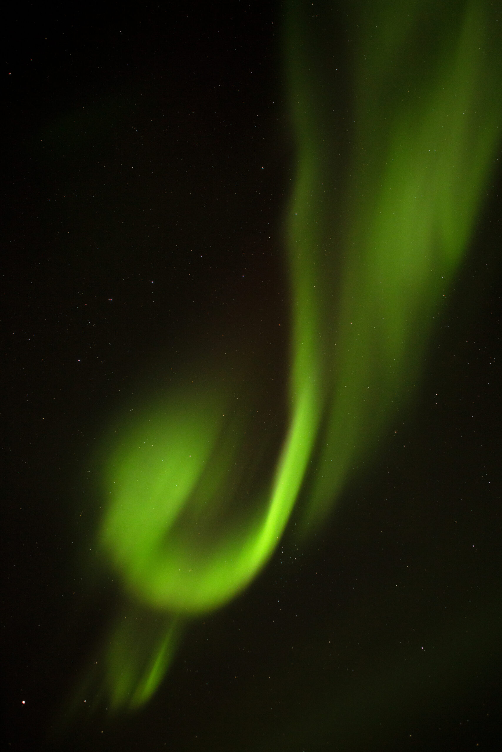Schön geschwungene grüne Nordlichter vor pechschwarzem Himmel
